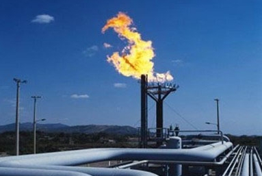 展示两款国产手枪 （新华社/图）2026年1月15日