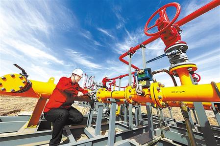 杨女士希望公司承担部分赔偿责任