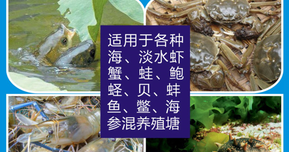 我会以此为目标重新准备