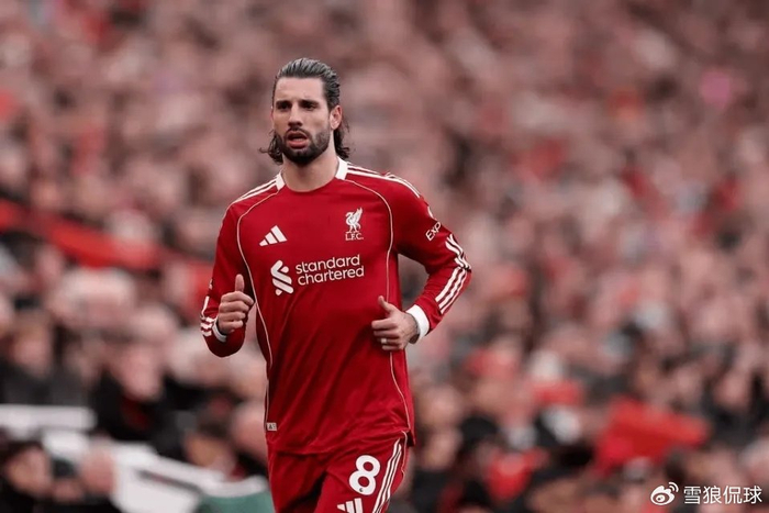 匈牙利主帅罗西回应斯洛特请求：国家队优先，